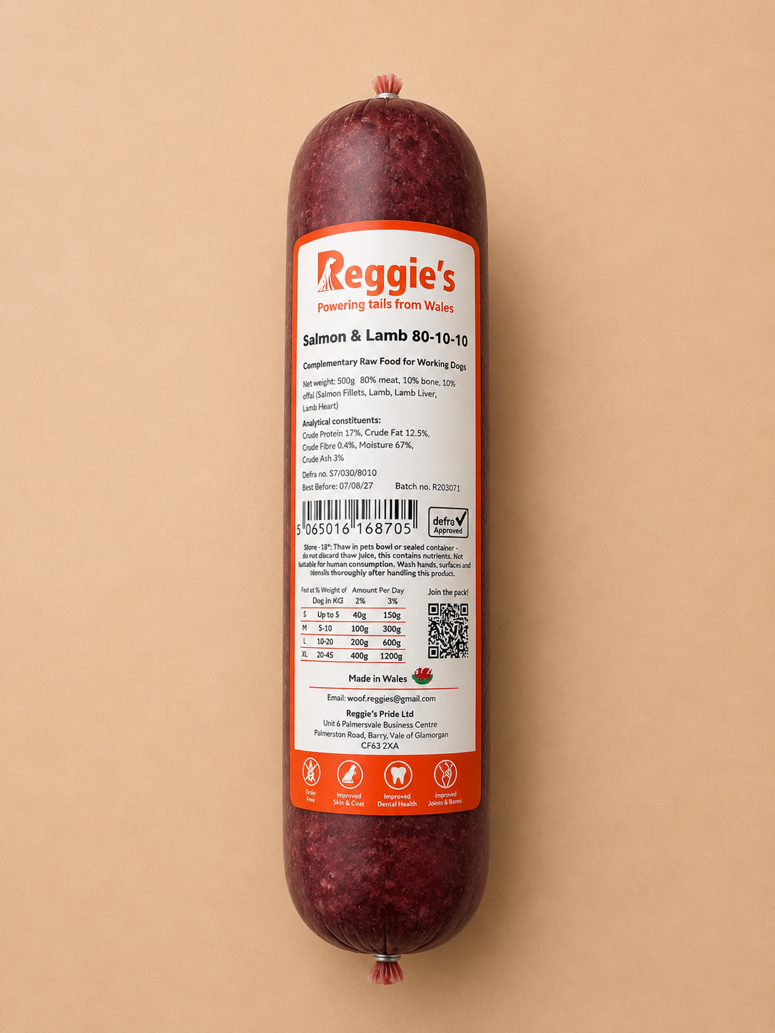 Reggie’s Raw - Salmon & Lamb (500G)