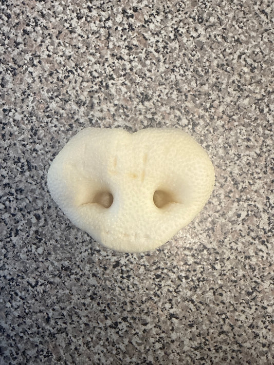 Puffed Pig Snout
