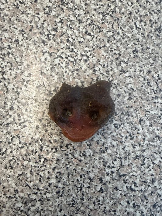 Pigs Snout